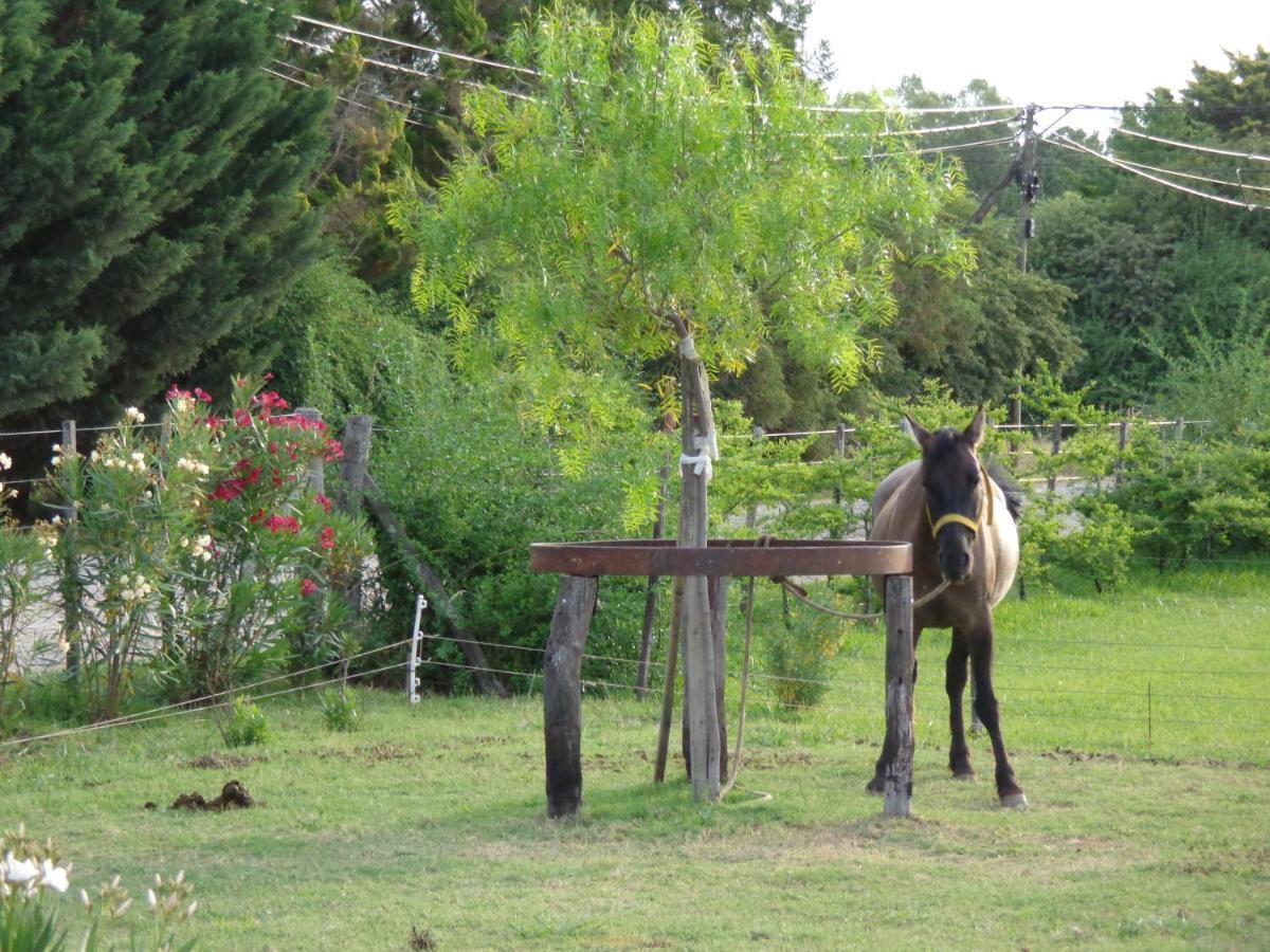 Güiraldes B&B San Antonio de Areco Dış mekan fotoğraf